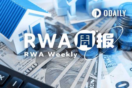 RWA周报｜资产持有人单周激增近6万，代币化白银市值突破2亿美元（10.8-10.14）