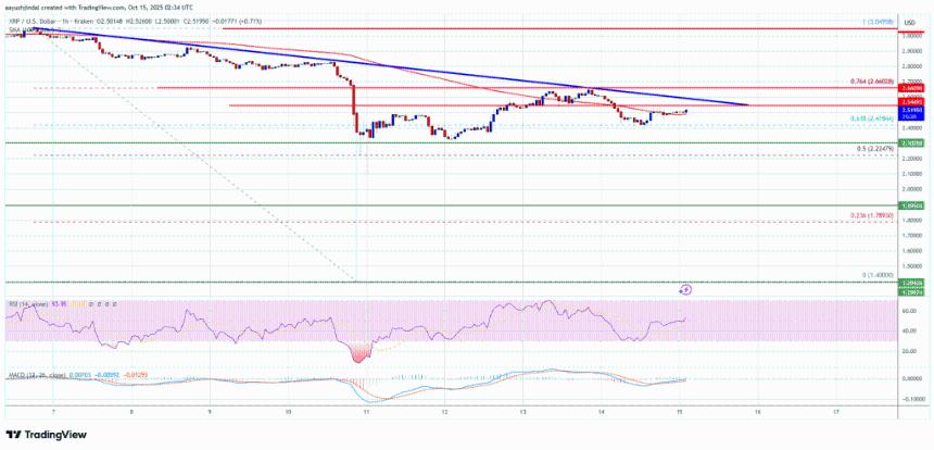 XRP价格关注关键上行突破 – 多头最终能否重新掌控局面?