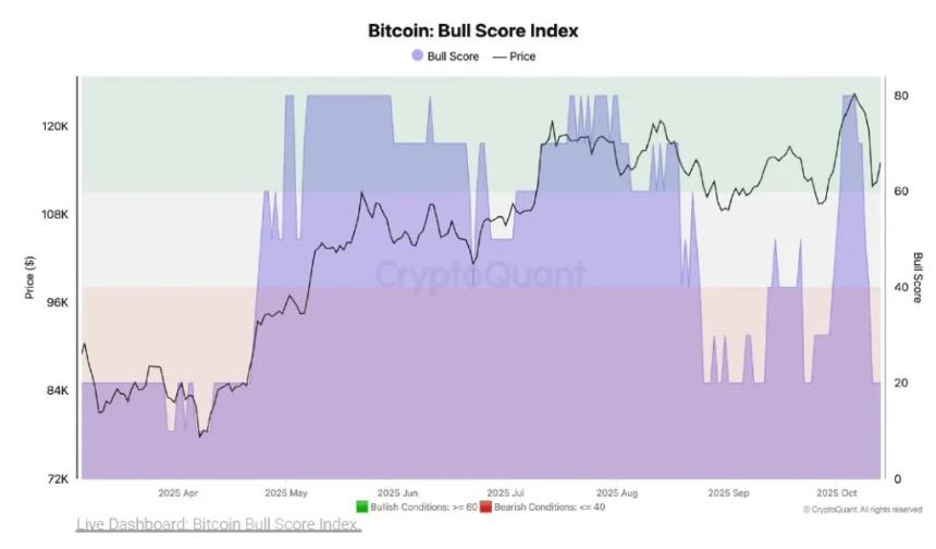  加密货币熊市来临？鲸鱼做空，恐慌加剧 