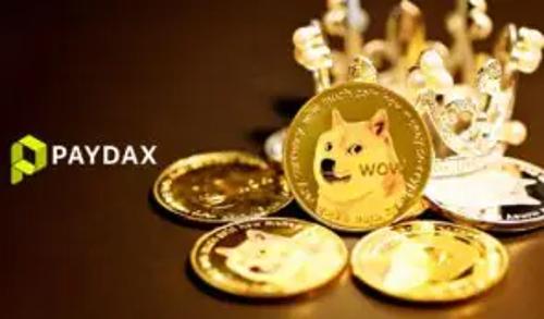 分析师预测狗狗币价格将持续低迷,同时看好 PayDax 协议 (PDP) 潜在涨幅达 5,000%