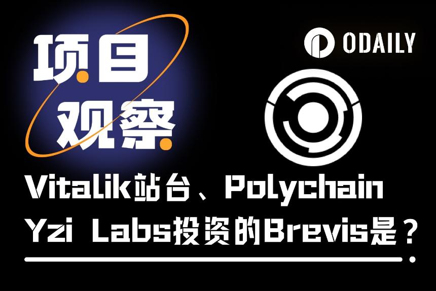 揭秘Brevis：获Vitalik力挺、融资750万美元，ZK协处理器如何为以太坊开启新篇章？