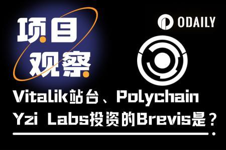 揭秘Brevis:获Vitalik力挺、融资750万美元,ZK协处理器如何为以太坊开启新篇章?
