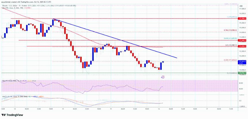 比特币价格波动——是否即将出现大幅下行趋势?