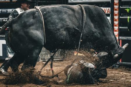 XRP下一轮牛市或将挑战以太坊市场地位，分析师警告潜在威胁