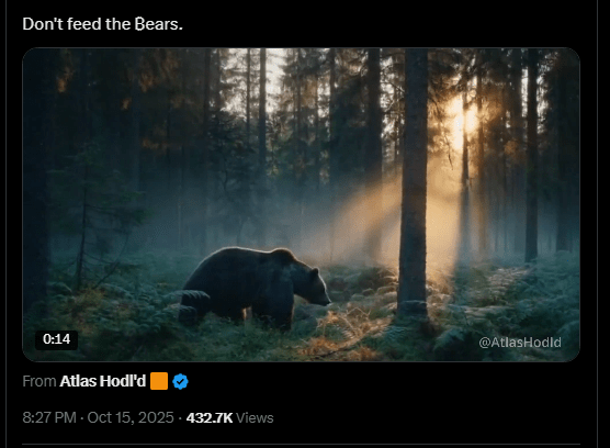 迈克尔·塞勒向比特币大军发出集结号:“饿死熊!”