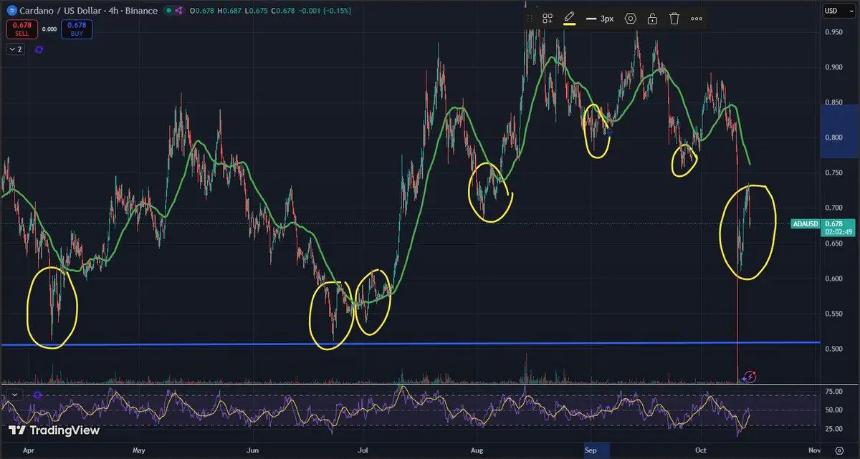 Cardano 和 TRON 日内下跌 6% —— 2025 年山寨币轮动投资新机遇