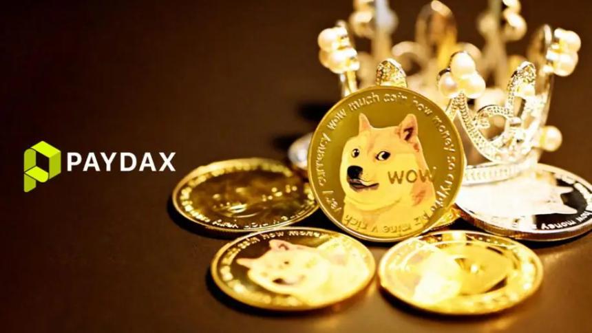 分析师预测狗狗币价格将持续低迷,同时看好 PayDax 协议 (PDP) 潜在涨幅达 5,000%