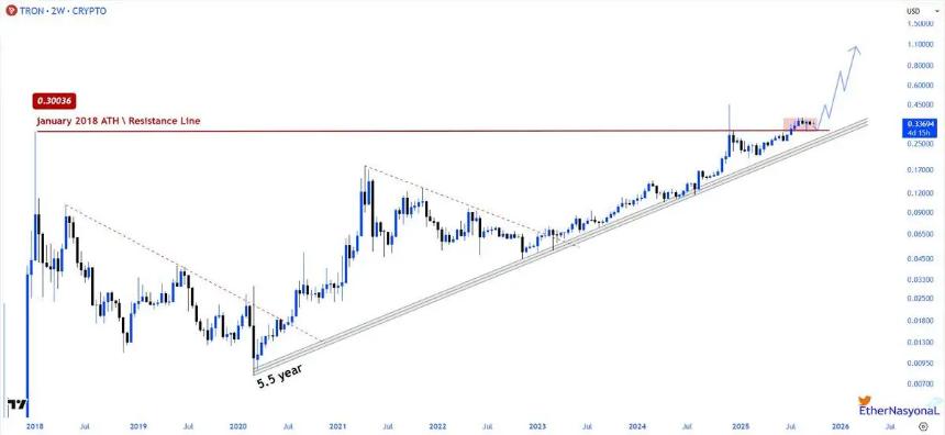 Cardano 和 TRON 日内下跌 6% —— 2025 年山寨币轮动投资新机遇