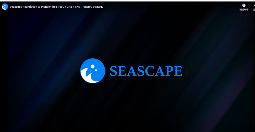Seascape基金会推出首个链上BNB财库战略，开启游戏生态新纪元