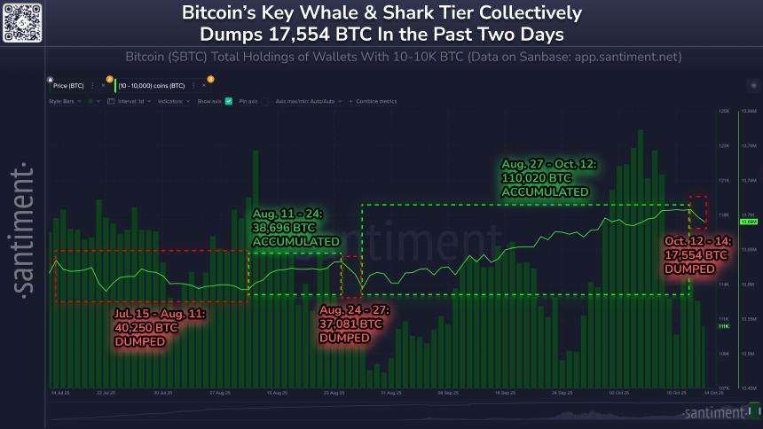 比特币价格回落至 111,000 美元以下,主要持有者抛售 17,500 BTC