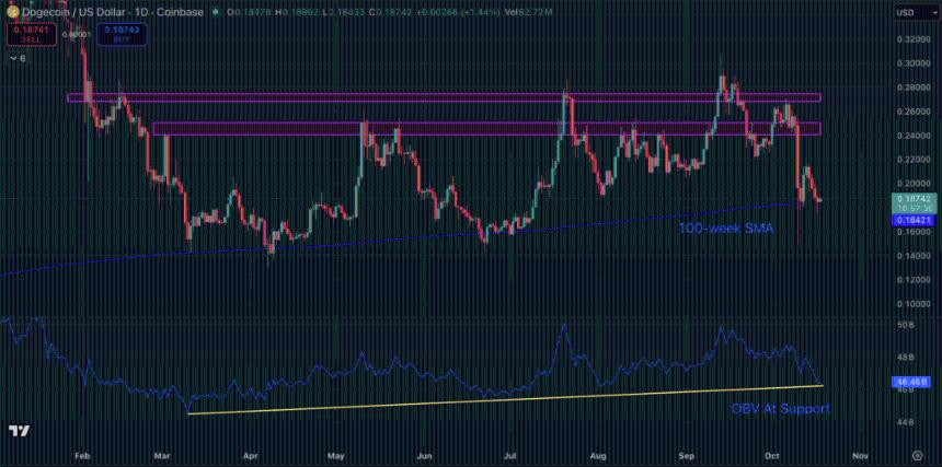狗狗币价格预测：3月或达0.86美元，Maxi Doge或成下一匹黑马