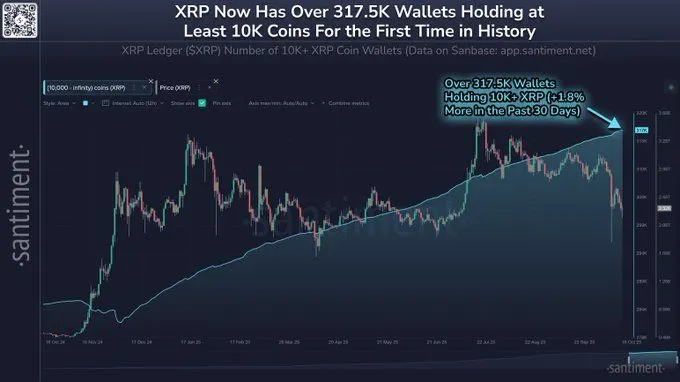 XRP 持有者数量创新高：鲸鱼增持，价格突破在即