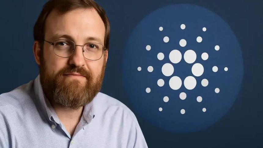 Cardano 新闻:Charles Hoskinson 回应滥用国库基金指控 称其毫无根据