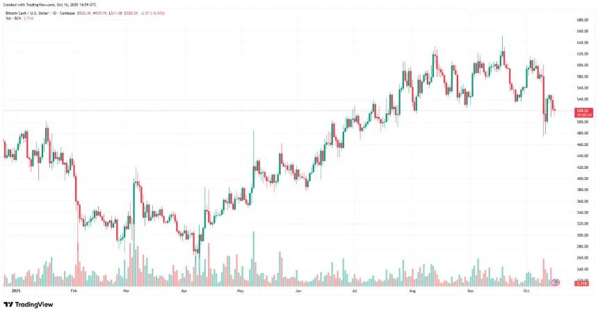 比特币现金今日价格预测：BCH 维持 522 美元支撑位，但专家强调其为具有 10 倍潜力的顶级加密货币