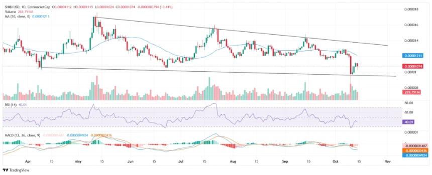 加密货币投资新焦点：Mutuum Finance (MUTM) 成为长期持有优选