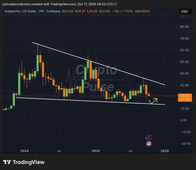  比特币和 AVAX 暴跌 10%——分析师预计，随着精明资金提前入场，比特币和 AVAX 将迎来大幅反弹 