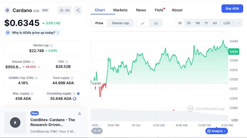 Cardano 和 TRON 表现强劲——分析师预测比特币重回 11 万美元将引发 40% 市场反弹