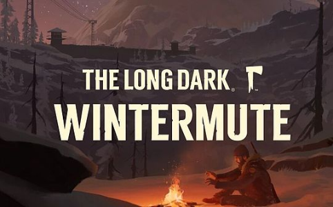 Wintermute 创始人详谈“1011 惊魂夜”与后市预测