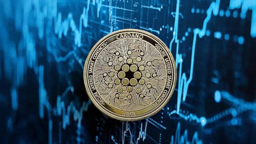 Cardano价格暴跌18%,Digitap ($TAP) 成为第四季度预售明星