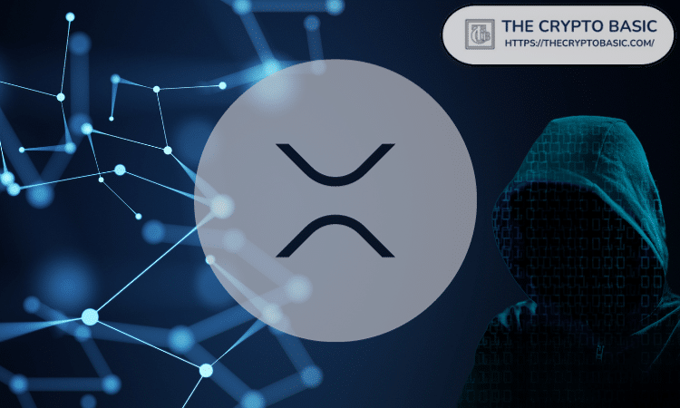 随着鲸鱼活动激增，比特币超级预售筹集金额已超过 2400 万美元——最佳预售购买选择？