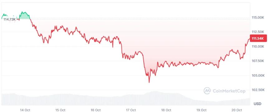 67% 的机构投资者仍看好 2026 年比特币