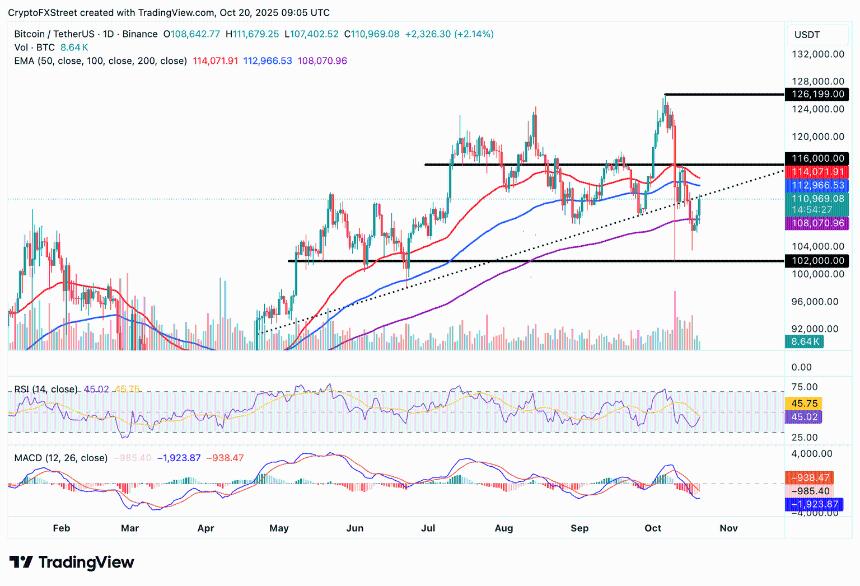 加密货币今日行情:风险偏好情绪再度升温,比特币、以太坊、XRP 上涨