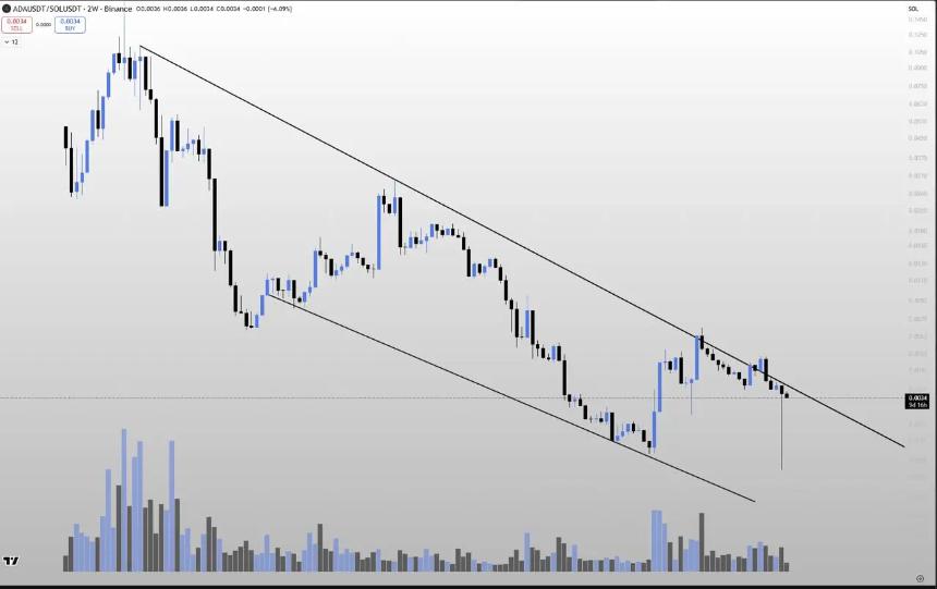 Cardano价格暴跌18%，Digitap ($TAP) 成为第四季度预售明星