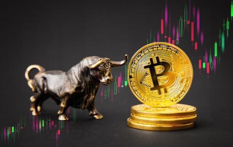 机构投资者持续看好比特币未来前景，67% 对2026年保持乐观