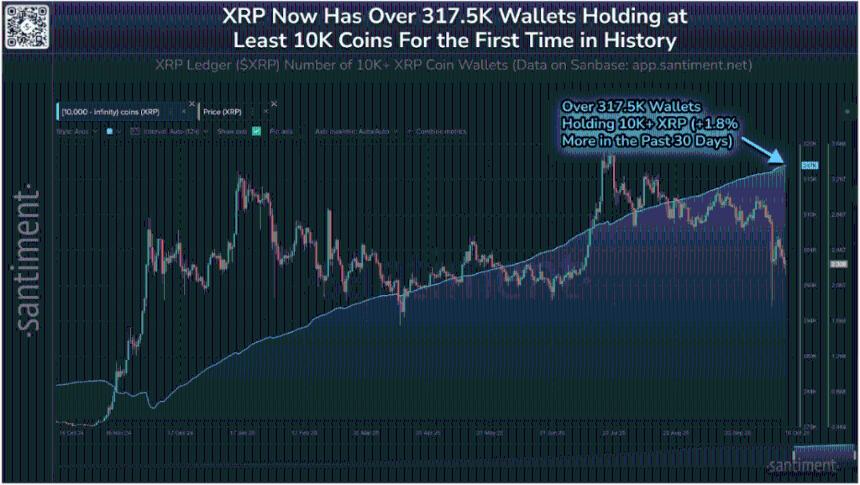 XRP价格回升,持有超过10,000个代币的钱包数量创历史新高