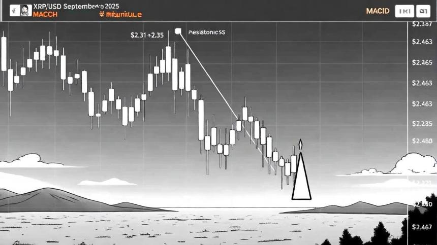 XRP价格走势分析:技术指标看跌与投资者风险管理策略