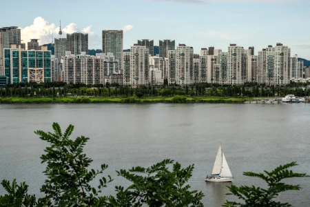 韩国1400万散户投资者的高风险豪赌：「蚁群」追逐财富梦