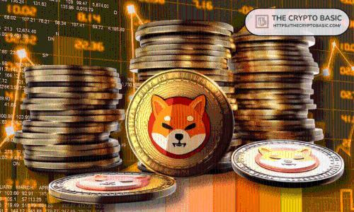 专家称柴犬持有者数量突破154万,但价格反弹仍面临多重挑战