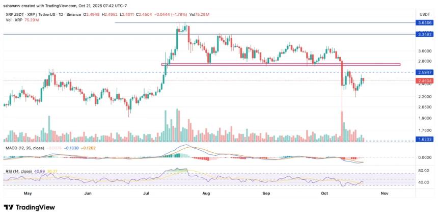 XRP价格分析：Ripple代币能否迎来强势反弹？