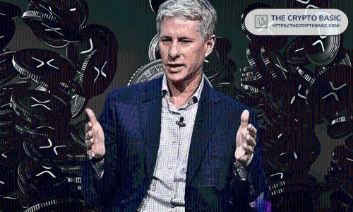 Ripple董事长转移5000万XRP引发争议，专家澄清非抛售行为