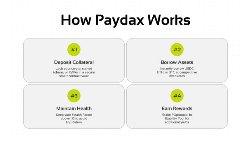  瑞波币策略师揭示XRP关键阻力位，同时关注新兴DeFi项目PayDax的预售热潮 