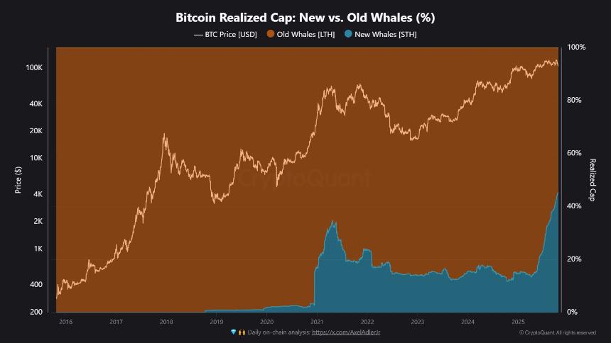 比特币已实现市值:老鲸鱼 vs 新鲸鱼 | CryptoQuant