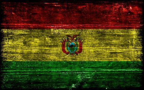 玻利维亚新总统推行区块链技术以打击腐败并促进经济现代化