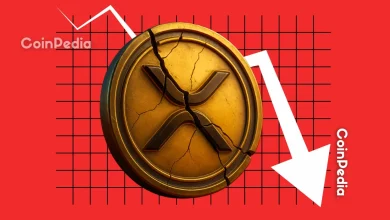Floki 代币价格飙升30%,交易量激增817%