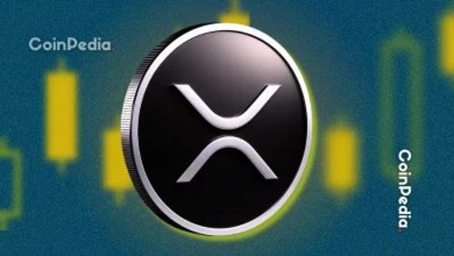 瑞波币策略师揭示XRP关键阻力位，同时关注新兴DeFi项目PayDax的预售热潮