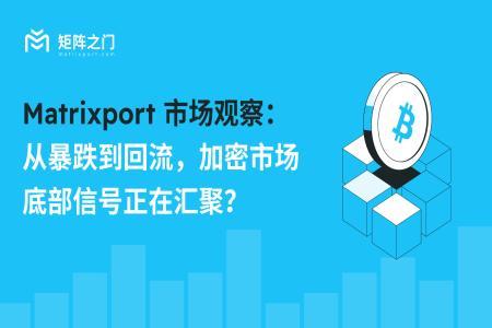 Matrixport市场观察：加密市场底部信号逐渐显现，资金回流与机构加仓成关键