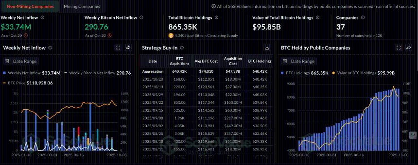 比特币资金流入暴跌 99% 导致比特币国债走势