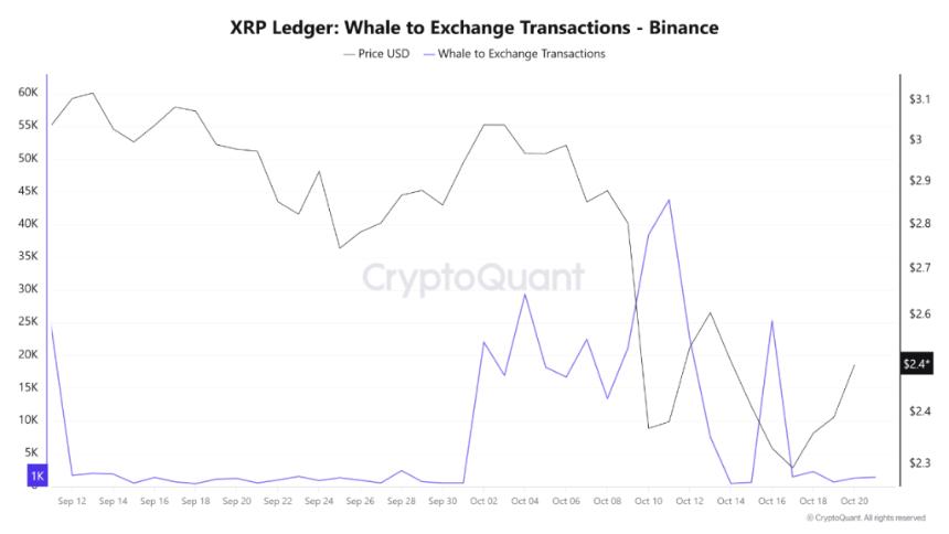  鲸鱼抛售减缓与机构吸筹能否推动XRP价格再创新高？ 