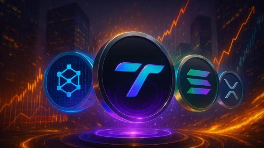 2025年第四季度最佳山寨币投资指南:TAPZI、BlockDAG、Solana 和 XRP 引领市场热潮