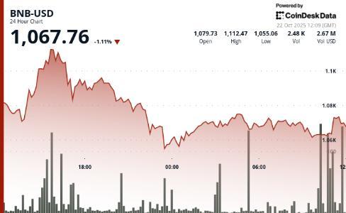 BNB价格跌破1100美元，Memecoin热潮与永续合约推动BNB链生态增长