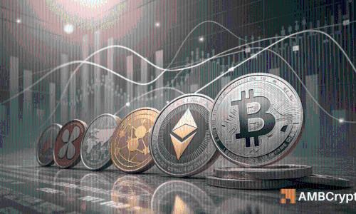 山寨币市场逆转的可能性分析：关键驱动因素与未来展望