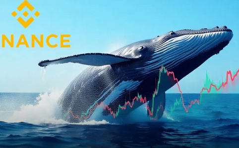 从交易所到链上金融 一文看懂Binance「活水」何来