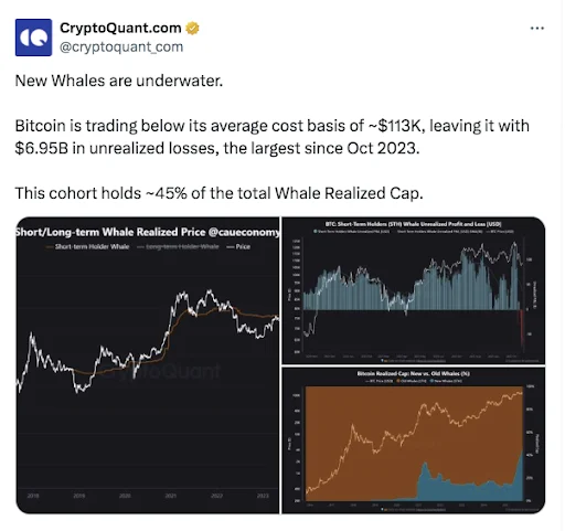 比特币巨鲸在上次暴跌中获利 2 亿美元，再次开启 BTC 空头仓位