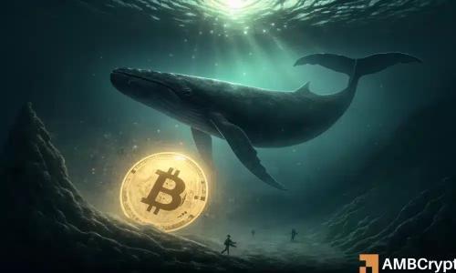 比特币两次反弹失利，市场质疑其上涨动力是否耗尽