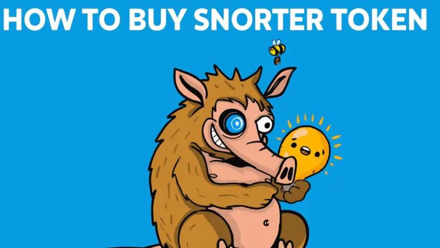 如何通过四个简单步骤购买 Snorter 代币 – 常见问题解答、权益及领取流程。所有问题解答