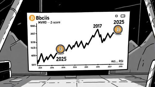 比特币中期回调：长期投资者的战略布局时机